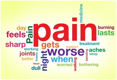 Lorimers-Pain-Quiz-img-1