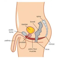 Men and World Continence Week