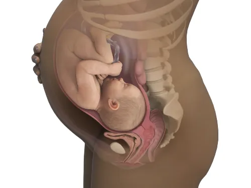 Pregnancy and rib pain