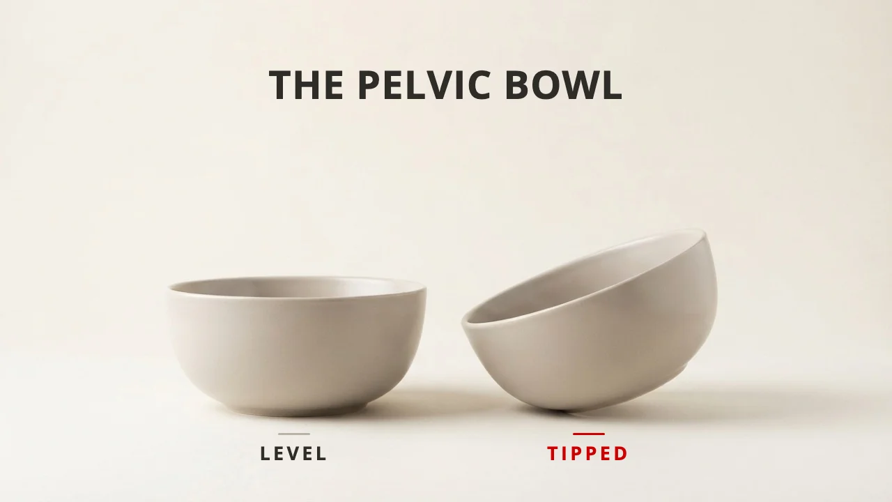 Pelvic bowl: how to keep your pelvis level when sitting and standing
