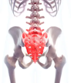 Pilates 101: Visualising the sacrum